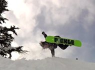 Forest Bailey